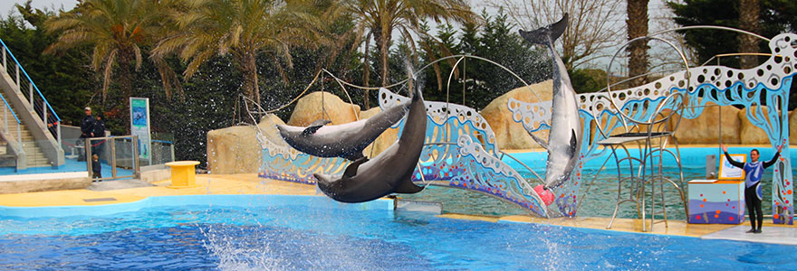 le parc aquatique Marineland